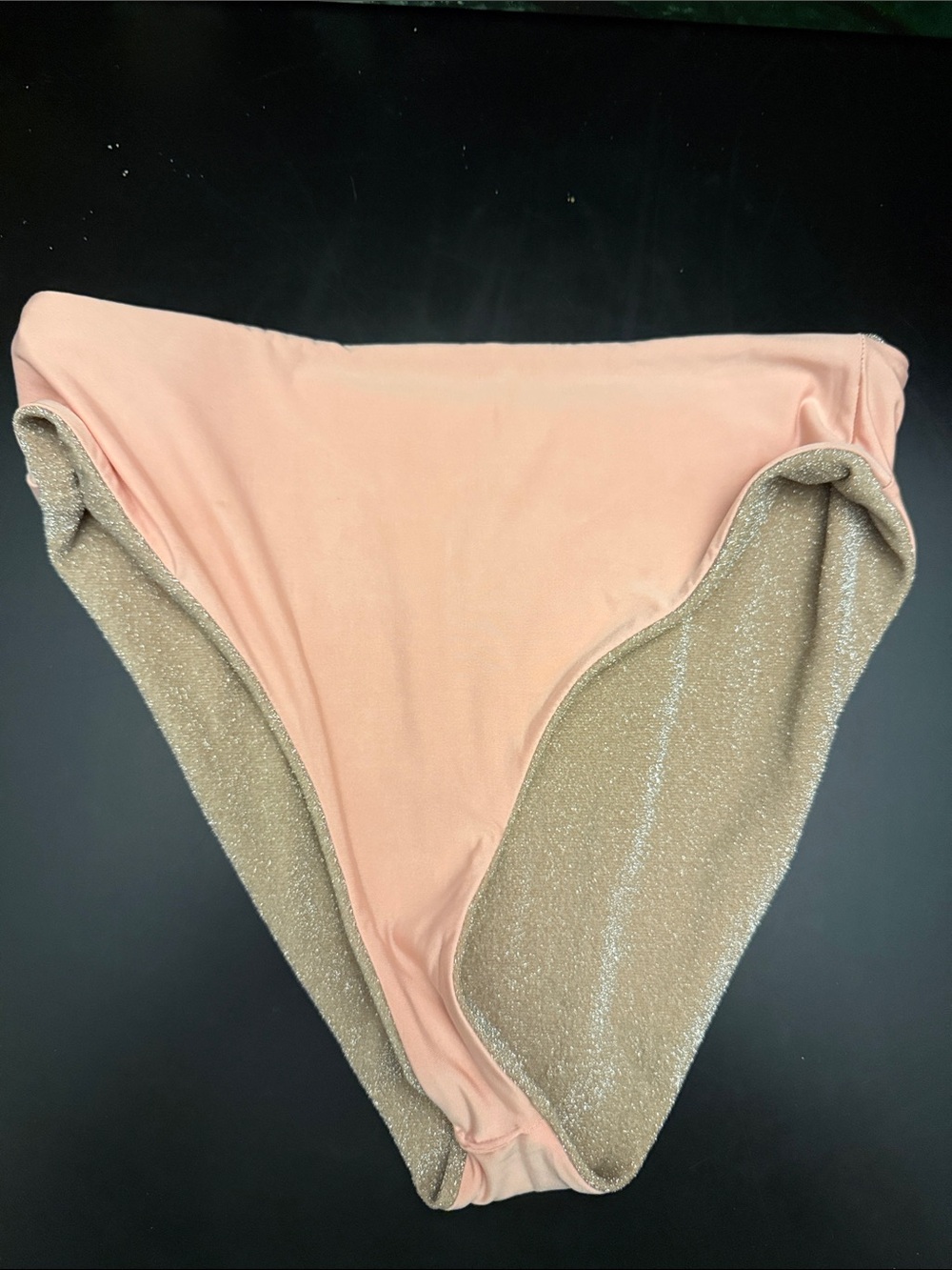 Beach Riot Bathing Suit Bottom - Picture 6 of 6